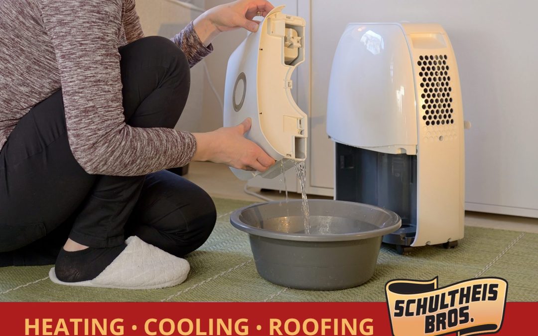 How Can I Best Manage Humidity in My Home?